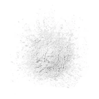 Flormar Loose Powder 001 Silver Sand 2