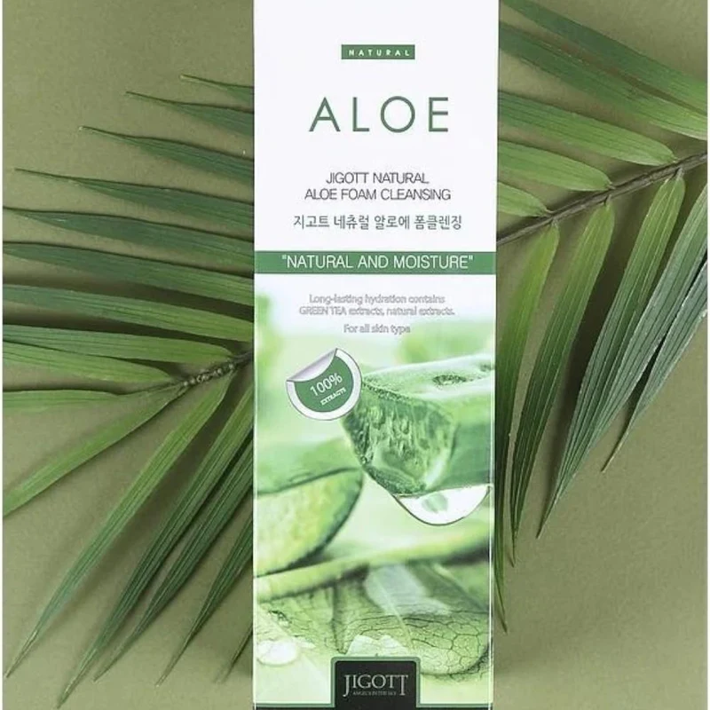 Jigott Natural Aloe Foam Cleansing 180ml 2