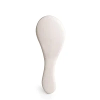 IDC Institute Natural Fiber Detangling Brush 2