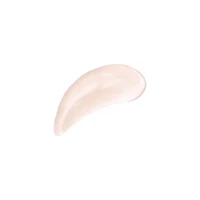 Mesauda Zero Flaws Primer 3