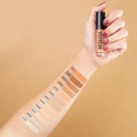 Mesauda Pro Light Concealer C10 6