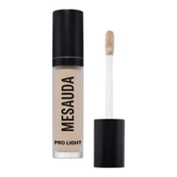 Mesauda Pro Light Concealer C10