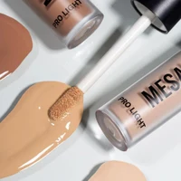 Mesauda Pro Light Concealer C10 3