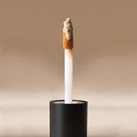 Mesauda Magic Wand Foundation C05 4