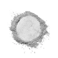 Mesauda Celestial Veil Powder 301 Invisible 2