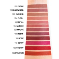 Mesauda Artist Lip Soft Pencil 101 Fudge 6