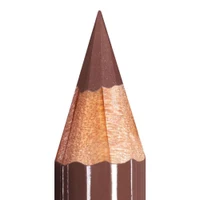 Mesauda Artist Lip Soft Pencil 101 Fudge 2