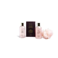 IDC Institute Secret Stories 4pcs 2