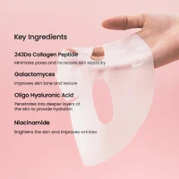 Biodance Bio-Collagen Real Deep Mask 2