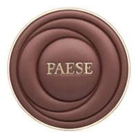 Paese SELFGLOW Creamy Bronzer With Matte Effect 01 Velvet Tan
