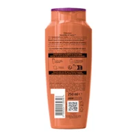 L'Oreal Elseve Extraordinary Oil Amla Boucles Sublimes Shampoo 250 ml 2