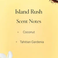 Victoria's Secret Island Rush Body Mist 250 ml 3