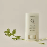 Beauty of Joseon Matte Sun Stick: Mugwort+Camelia SPF 50+ PA++++ 2
