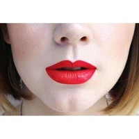 Paese Lipstick With  Argan Oil, 48 4