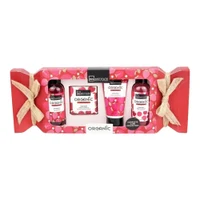IDC Institute Organic Red Fruit Candy Giftset 4pcs