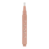 NAM Glass Highlighting Concealer 2