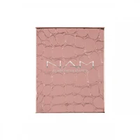 NAM Glass Highlighter 2 Neutral Light 2