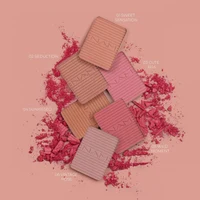 NAM Touch Of Color Blusher Insert 4 Sunkissed 3