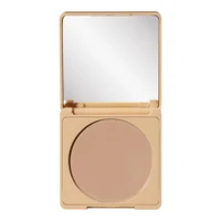 Paese Selfglow Bronzing 01 Cold