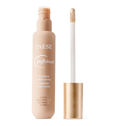 Paese Puff Cloud Peptide Concealer